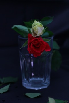 glass_of_flowers
