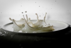 a_couple_of_milk_drops