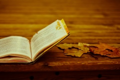 autumn_book