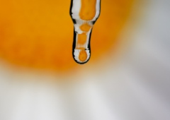 dieci_gocce_al_giorno