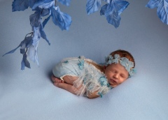 MG_0359-Edit-Edit-Edit_1920