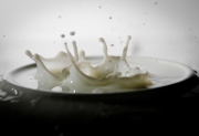 a_couple_of_milk_drops