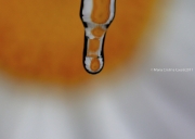 drop_reflection