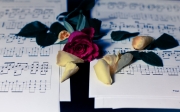 music_is_life