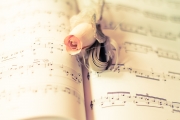 still_flower